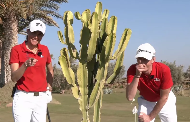 Le piège du cactus