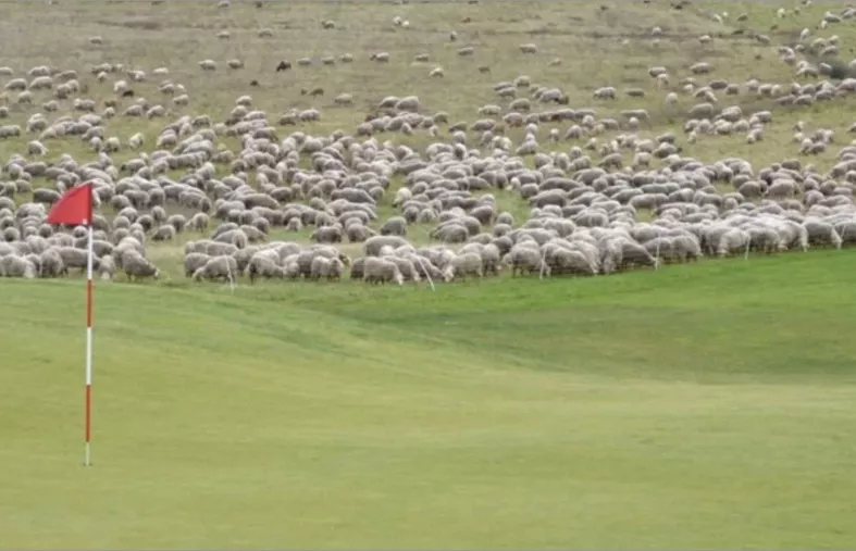 Grand Saint-Émilionnais Golf Club : Un parcours éco-responsable